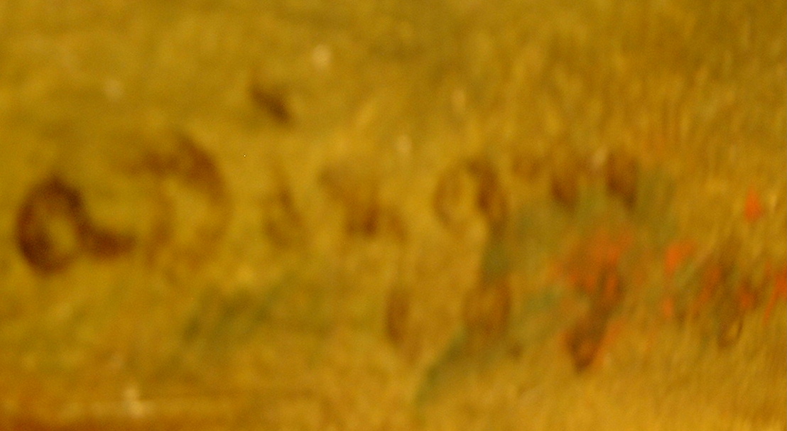 1.Alfred Dixon(1842-1919) landscape oil on canvas: Autumn